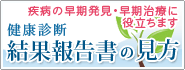 結果報告書の見方